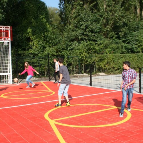 Pannakooi met basketbal 112 Pannakooi met basketbal - Afbeelding 32